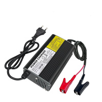 Изображение Зарядное устройство для LiFePO4 аккумуляторов YZPOWER 12V, 20A (фото, картинка)