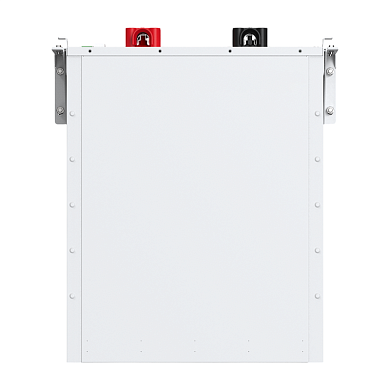 Изображение Felicity Solar 48V (51.2V) 100Ah FLA48100UG1 (LiFePo4, BMS) - оригинальный размер 6