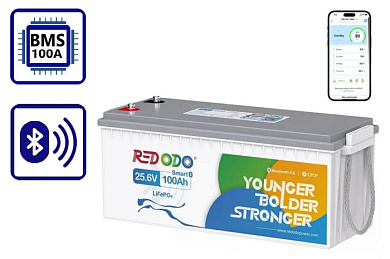 Изображение Redodo 24V 100Ah (LiFePo4, BMS 100A, Bluetooth) - оригинальный размер 1