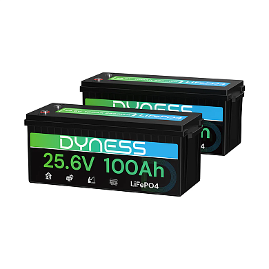 Dyness 24V 100Ah AR2.5-24V Low Temp (LiFePo4, BMS 100A) 2