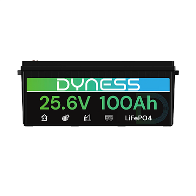 Dyness 24V 100Ah AR2.5-24V Low Temp (LiFePo4, BMS 100A) 4