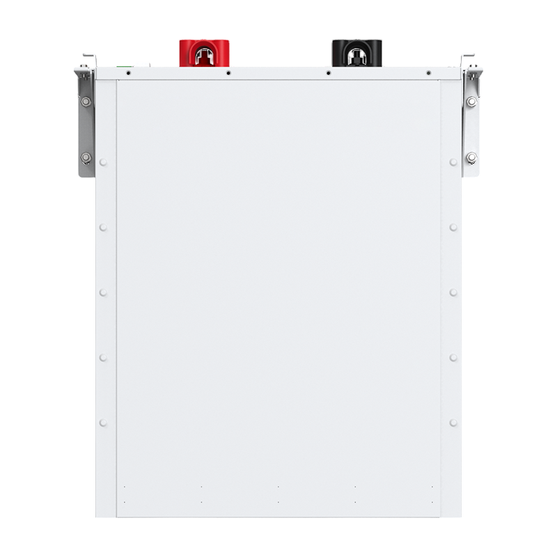 Felicity Solar 48V (51.2V) 100Ah FLA48100UG1 (LiFePo4, BMS) 6