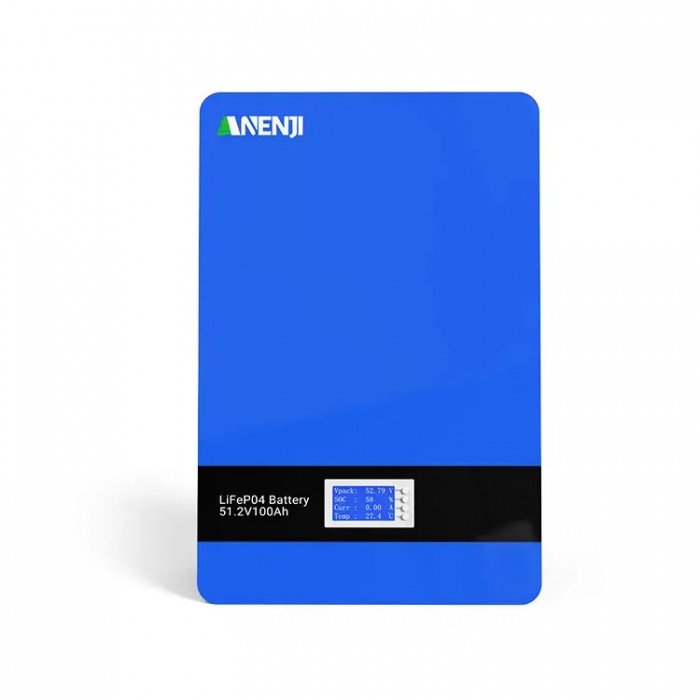 Изображение Anenji 48V (51.2V) 100Ah ANJ-100AH-PX (LiFePo4, BMS) - оригинальный размер 1