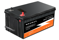 Аккумулятор Liemium/WULILLS 24V 100Ah Puls (LiFePo4, BMS)