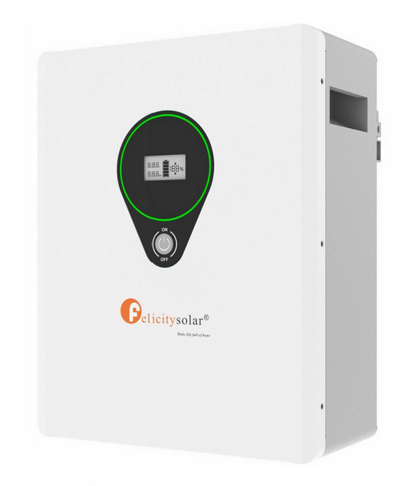 Felicity Solar 24V 100Ah LPBF24100-M (LiFePo4, BMS) 2
