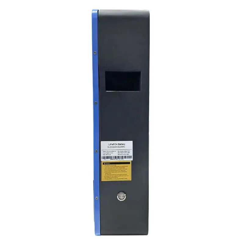Изображение Anenji 48V (51.2V) 100Ah ANJ-100AH-PX (LiFePo4, BMS) - оригинальный размер 2
