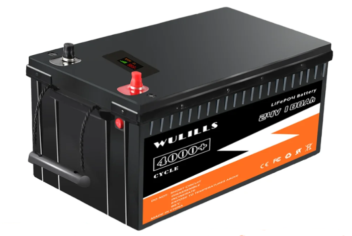 Акумулятор Liemium/WULILLS 24V 100Ah Puls (LiFePo4, BMS)