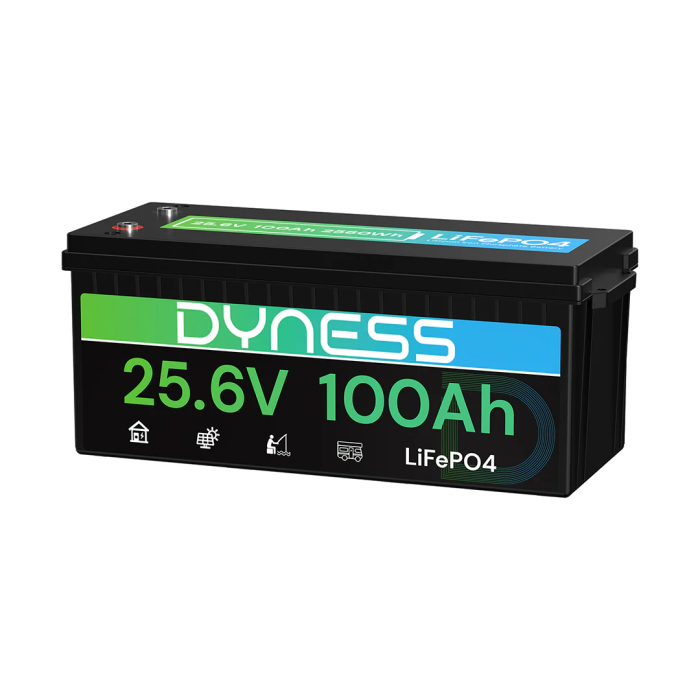 Dyness 24V 100Ah AR2.5-24V Low Temp (LiFePo4, BMS 100A) 1