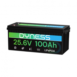 Dyness 24V 100Ah AR2.5-24V Low Temp (LiFePo4, BMS 100A) 1