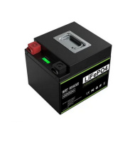 Аккумулятор Liemium 12V 100Ah (LiFePo4, BMS, Iron case)