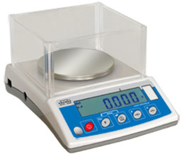 RADWAG WLC 0,2/C/1 1