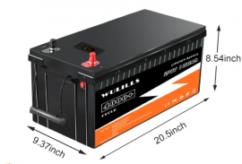 Liemium/WULILLS 24V 100Ah Puls (LiFePo4, BMS) 2
