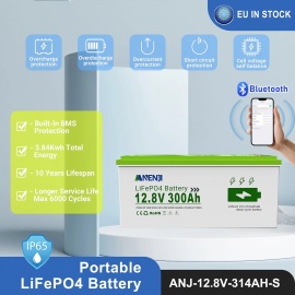 Изображение Anenji 12V 300Ah ANJ-12.8V-314AH-S (LiFePo4, BMS, Bluetooth) - оригинальный размер 5