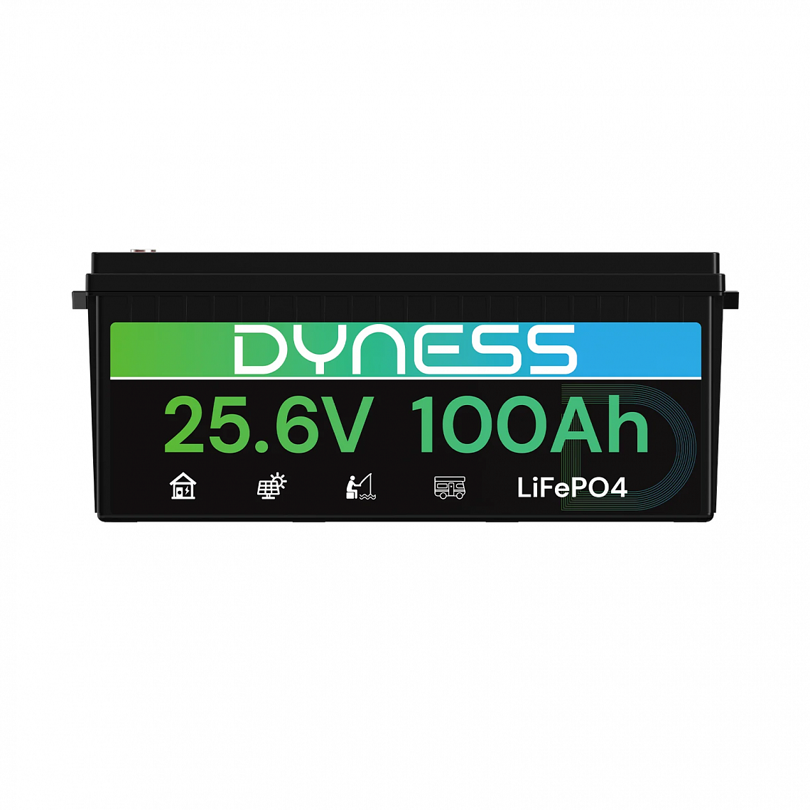 Dyness 24V 100Ah AR2.5-24V Low Temp (LiFePo4, BMS 100A) 4
