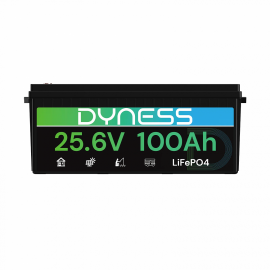 Dyness 24V 100Ah AR2.5-24V Low Temp (LiFePo4, BMS 100A) 4